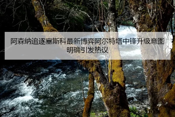 阿森纳追逐塞斯科最新博弈阿尔特塔中锋升级意图明确引发热议