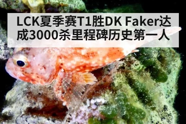 LCK夏季赛T1胜DK Faker达成3000杀里程碑历史第一人 | ayx