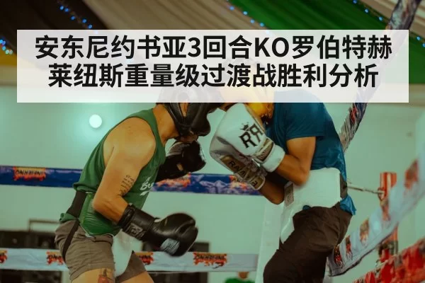 boxing training(ayx)