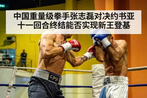Chinese heavyweight boxer(ayx)